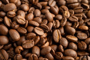 Sabahları içmek için kahve çekirdeği, doğa yemeği..