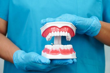 Diş hekimliği hakkında bilgi edinmek için Asyalı diş hekimi elinde tutuyor.