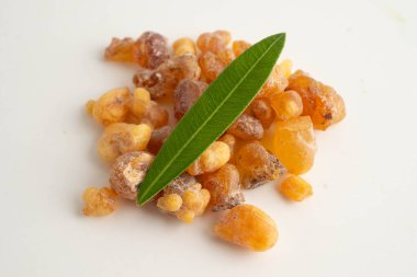 Tütsü veya olibanum aromatik reçine tütsü ve perfekte kullanılır.