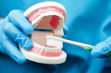 Diş fırçasıyla dişleri temizleyen doktor hasta ve dişçiye diş hekimliği dersi veriyor..