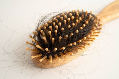 Tarak fırçasıyla beyaz arkaplanda saç kaybı.