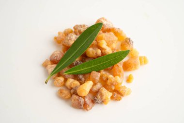 Tütsü ya da olibanum aromatik reçine tütsü ve parfümlerde kullanılan beyaz arka planda izole edilmiş..