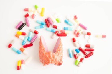 İlaç tedavisi gören tiroid modeli, Hipertiroidizm, Aşırı Aktif veya Lenfoma.