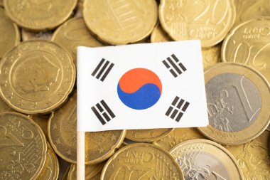 Bozuk para üzerinde Güney Kore bayrağı, finans ve muhasebe, bankacılık kavramı.