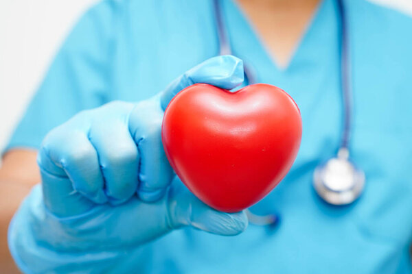 Asian woman doctor holding red heart for health in hospital.