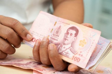 Tayland baht banknotlarını sayan Asyalı bir kadın, elinde para, yatırım ekonomisi, muhasebe ve bankacılık.