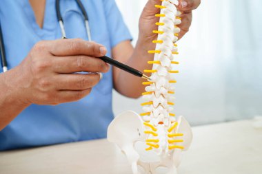 Omurga ve kemik modeli taşıyan Asyalı doktor, ortopedi bölümünde tedavi için bel kemiği yerinden oynamış disk parçası..