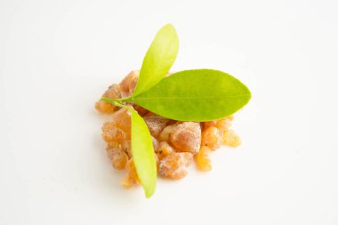 Tütsü veya olibanum aromatik reçine tütsü ve parfümlerde kullanılır..