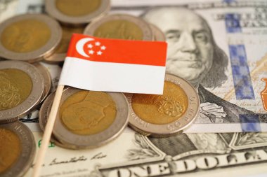 Para ve banknot üzerinde Singapur bayrağı, yatırım ticareti para birimi kavramını finanse ediyor.