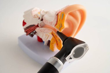 Otoskop, otolargolog ya da ENT doktoru için kulak modeli. Yaşlı hasta kulağını muayene ediyor, işitme sorunu var..