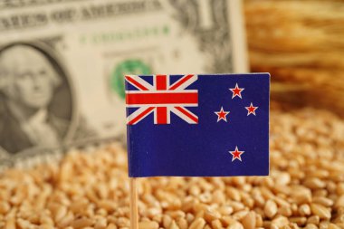 ABD doları banknotlu buğday taneleri, ticaret ihracatı ve ekonomi konsepti.