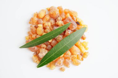 Tütsü ya da olibanum aromatik reçine tütsü ve parfümlerde kullanılan beyaz arka planda izole edilmiş..