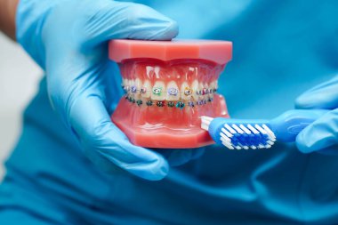 Diş fırçasıyla dişleri temizleyen doktor hasta ve dişçiye diş hekimliği dersi veriyor..