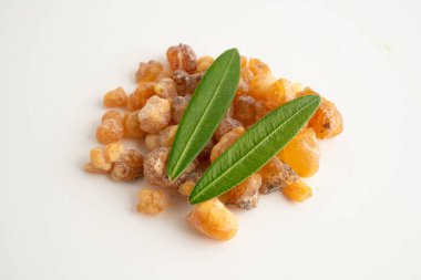 Tütsü veya olibanum aromatik reçine tütsü ve parfümlerde kullanılır..