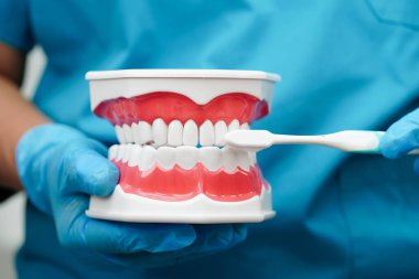 Diş fırçasıyla dişleri temizleyen doktor hasta ve dişçiye diş hekimliği dersi veriyor..