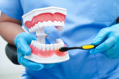 Diş fırçasıyla dişleri temizleyen doktor hasta ve dişçiye diş hekimliği dersi veriyor..