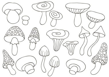 El çizimi biçiminde vektör çizimleri. Orman mantarlı tek renkli poster. Simge, tabela, çıkartma koleksiyonu. Mantarlar