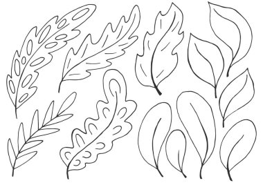 El çizimi biçiminde vektör çizimleri. Sonbahar. Sonbahar yapraklı tek renkli poster. Simge, iğne, çıkartma koleksiyonu