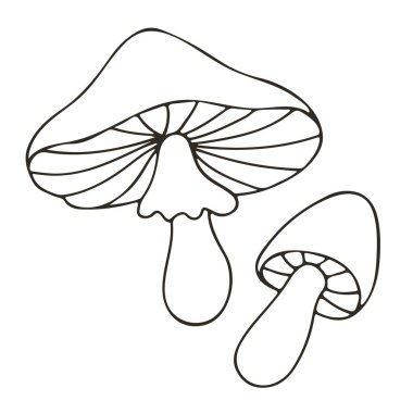 Russula. Küçük el çizimi stil vektör çizimleri. Simgelerin, işaretlerin, iğnelerin, çıkartmaların renklendirilmesi