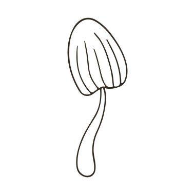 Panaeolina foenisecii. Elle çizilmiş sonbahar illüstrasyonu. Orman mantarını boyamak. Simge, imza, etiket