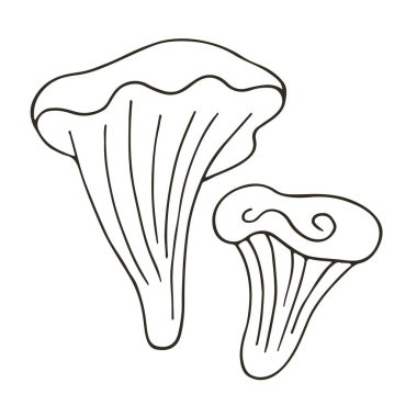 Chanterelle 'ler. Küçük el çizimi stil vektör çizimleri. Simgelerin, işaretlerin, iğnelerin, çıkartmaların tek renkli koleksiyonu