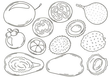 El çizimi biçiminde vektör çizimleri. Tropikal meyveli boyama posteri. Simge, rozet, çıkartma koleksiyonu. Egzotik meyveler