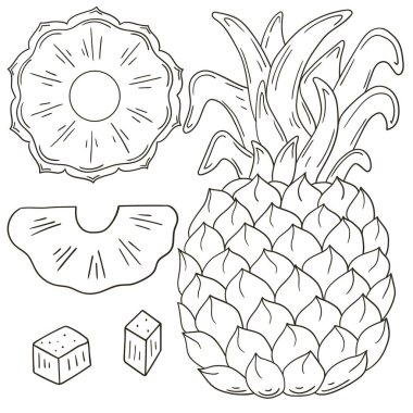 Ananas. El çizimi biçiminde vektör çizimleri. Meyveli boyama posteri. Simge, etiket koleksiyonu