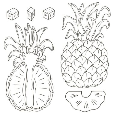 Ananas. El çizimi biçiminde vektör çizimleri. Meyveli boyama posteri. Çıkartma koleksiyonu