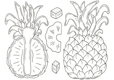 Ananas. El çizimi biçiminde vektör çizimleri. Meyveli boyama posteri. Simge, işaret, iğne, çıkartma koleksiyonu