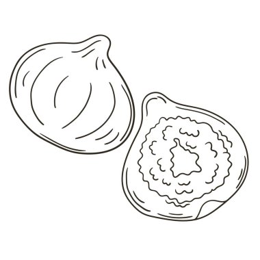 İncir. El çizimi biçiminde vektör çizimleri. Meyveli boyama posteri. Simge, işaret, iğne, çıkartma koleksiyonu