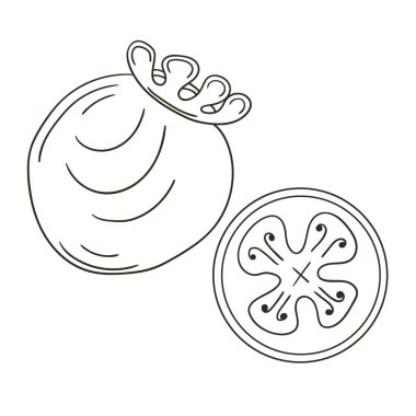 Fayjoa. El çizimi biçiminde vektör çizimleri. Meyveli boyama posteri. Simge, işaret, iğne, çıkartma koleksiyonu