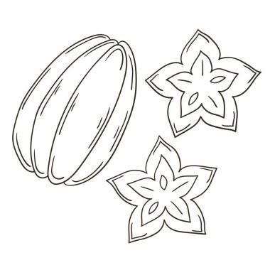 Carambola, Star-fruit. El çizimi biçiminde vektör çizimleri. Meyveli boyama posteri. Simge, işaret, iğne, çıkartma koleksiyonu