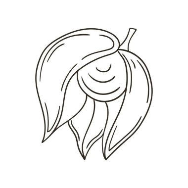 Physalis. Elle çizilmiş renkler. Çocuk resimleri, egzotik meyveler. Simge, işaret, iğne sembolü çıkartması