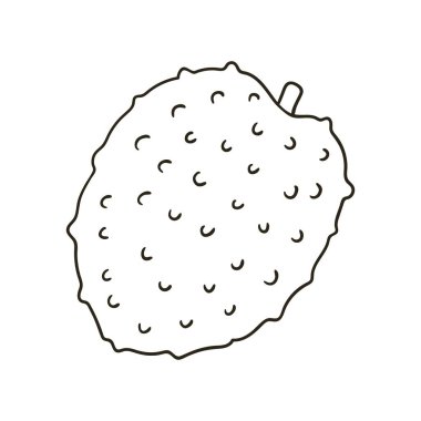 Litchi. Elle çizilmiş renkler. Çocuk resimleri, egzotik meyveler. Simge, işaret, iğne sembolü çıkartması