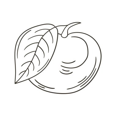 Longan. Elle çizilmiş renkler. Çocuk resimleri, egzotik meyveler. Simge, işaret, iğne sembolü çıkartması