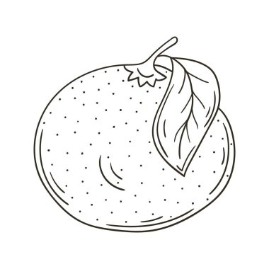 Elle çizilmiş renkler. Çocuk resimleri, egzotik meyveler. Turuncu. Simge, imza, iğne çıkartması