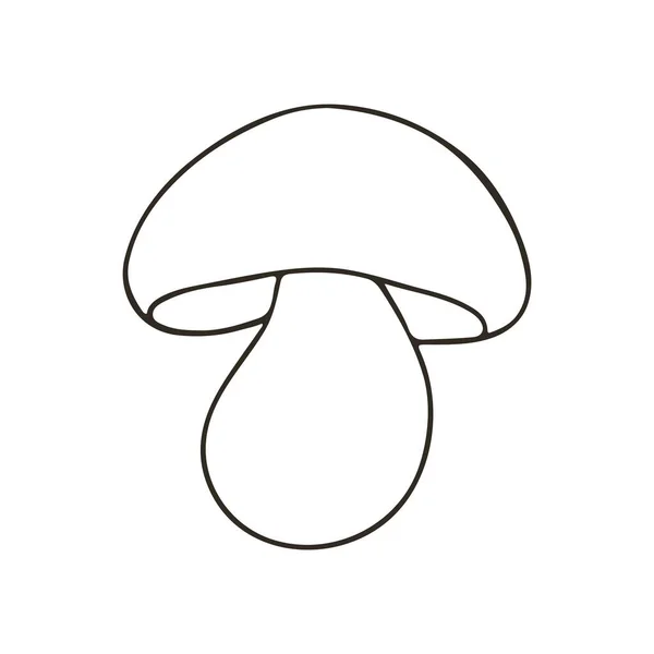 Champignons Polonais Illustration Automne Style Dessiné Main Coloriage Champignon Forestier — Image vectorielle