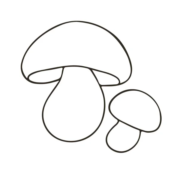 Polish Mushroom Small Set Hand Drawn Style Vector Illustrations Coloring — Stock Vector