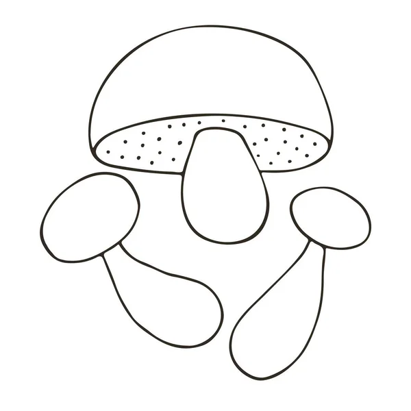 Polish Mushroom Small Set Hand Drawn Style Vector Illustrations Coloring — Stock Vector