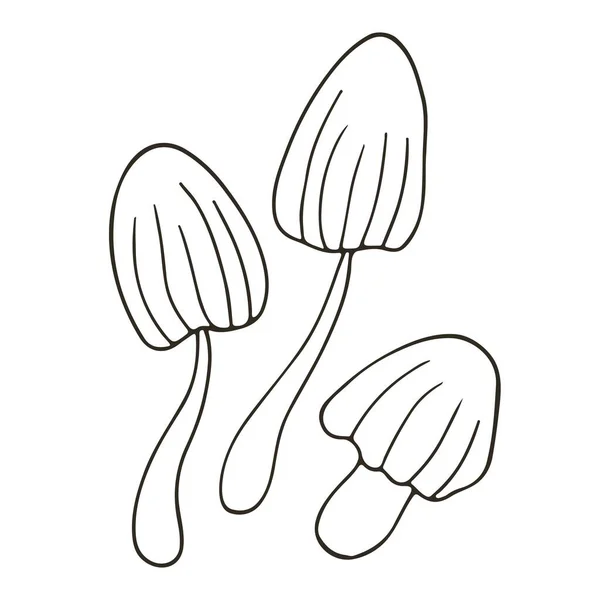 Panaeolina Foenisecii Küçük Çizimi Stil Vektör Çizimleri Simgelerin Işaretlerin Iğnelerin — Stok Vektör
