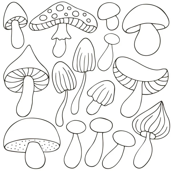 蘑菇Mushrooms 一组矢量插图手绘风格 带有森林蘑菇的单色海报 收集图标 — 图库矢量图片