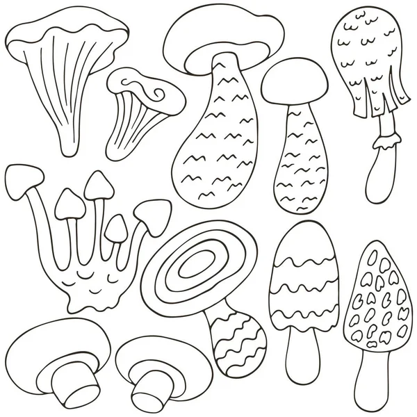Mushrooms Set Vector Illustrations Hand Drawn Style Monochrome Poster Forest — Stock Vector