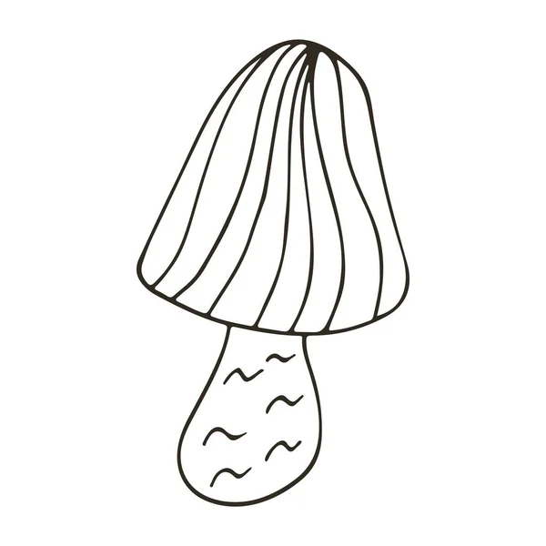 Fairy Mushroom Autumn Illustration Hand Drawn Style Monochrome Forest Mushroom — Stock Vector