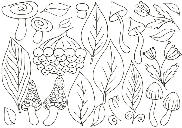 Осень Набор Векторных Иллюстраций Ручном Рисовании Монохромный Плакат Осенними Листьями — стоковый вектор