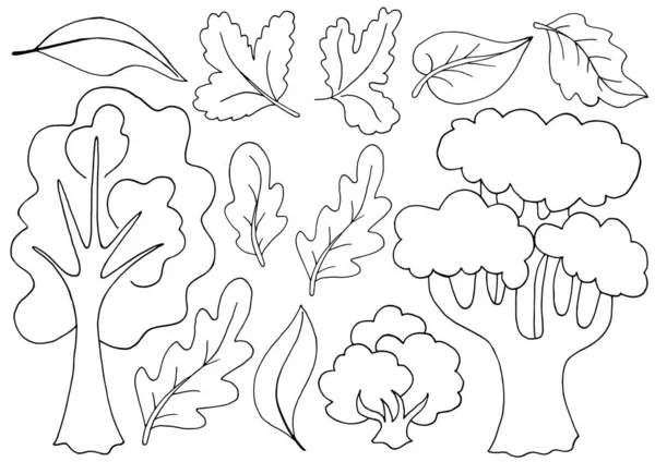 Herbst Set Von Vektorillustrationen Handgezeichnetem Stil Monochromes Plakat Mit Herbstblättern — Stockvektor