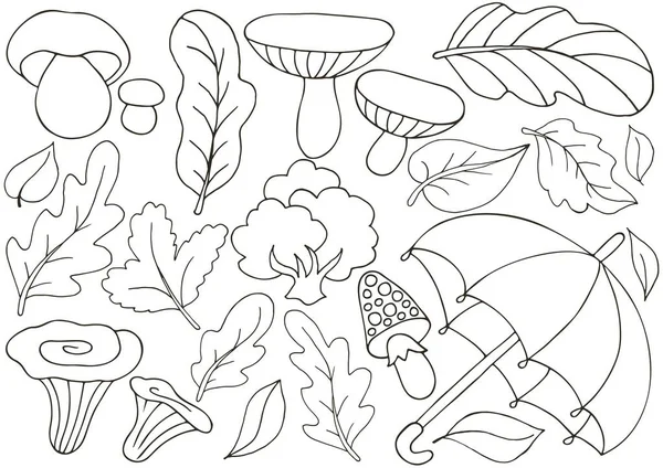 一组矢量插图手绘风格 带有秋天叶子和蘑菇的单色海报 收集贴纸 — 图库矢量图片