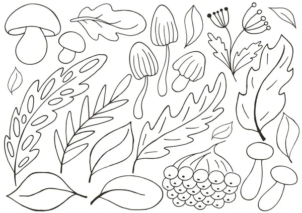 stock vector Autumn. Set of vector illustrations in hand drawn style. Monochrome poster with autumn leaves and mushrooms. Collection of icons, signs, stickers