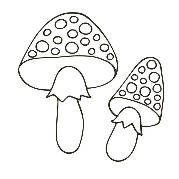 Amanitas Kleiner Satz Handgezeichneter Vektor Illustrationen Monochrome Sammlung Von Ikonen — Stockvektor