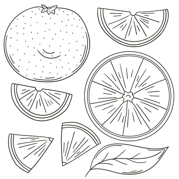 Sada Vektorových Ilustrací Ručně Kresleném Stylu Zbarvení Plakát Ovocem Grapefruit — Stockový vektor