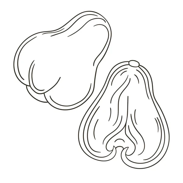Rose Apple Chom Poo Sada Vektorových Ilustrací Ručně Kresleném Stylu — Stockový vektor
